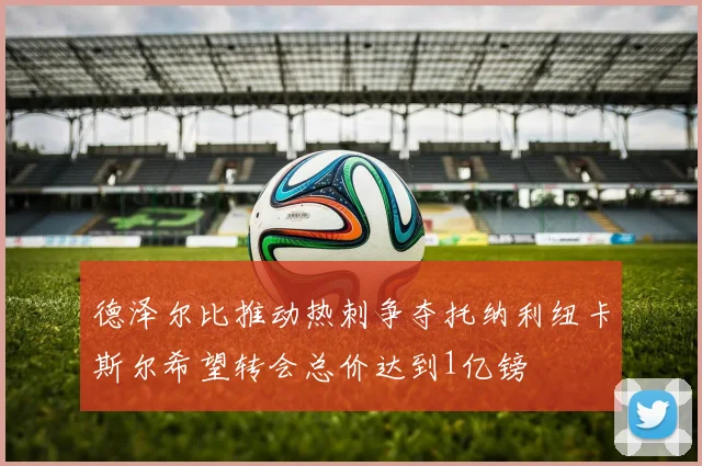 德泽尔比推动热刺争夺托纳利纽卡斯尔希望转会总价达到1亿镑