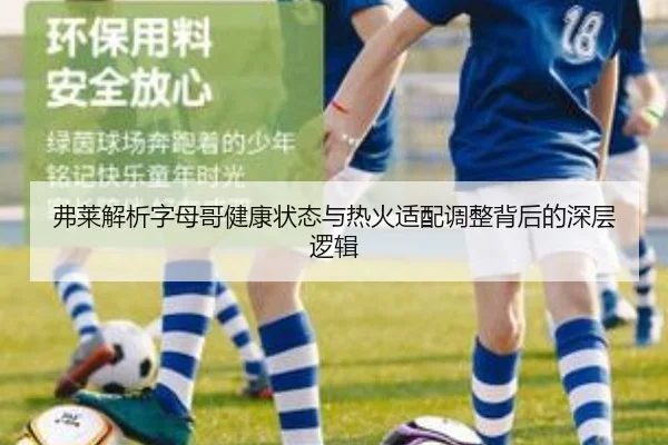 弗莱解析字母哥健康状态与热火适配调整背后的深层逻辑 | BAJIESPORTS